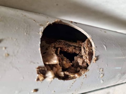Recherche de fuite non destructive, traçage de réseau